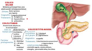 COLELITIASIS COLECISTITIS COLEDOCOLITIASIS COLANGITIS [upl. by Philender]