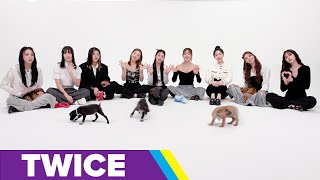 TWICE The Puppy Interview [upl. by Aicercul570]