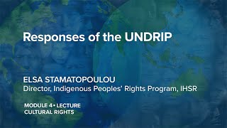 IPR x  414 Responses of the UNDRIP  Indigenous Peoples Rights [upl. by Cedell]