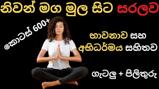 ත්‍රිපිටක සාක්ශි සහිතව​ නිවන් මග මුල සිට 2 කොටස නිරුක්ති යනු මොනවාද [upl. by Tchao]