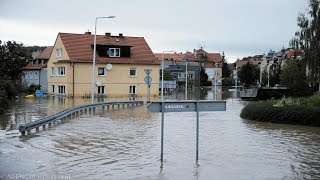 Reakcje sieci handlowych na zarzuty Tuska o drożyznę po powodzi co mówią [upl. by Drofyar]