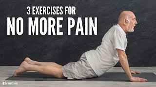 The 3 Best Back Exercises For NO MORE PAIN [upl. by Aneeg]