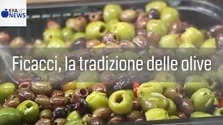 Ficacci la tradizione delle olive [upl. by Nya]