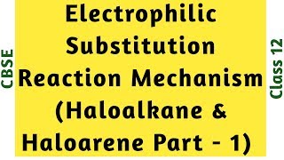 Electrophilic Substitution Reaction  Bromination and Nitration Haloalkane amp Haloarene Part 1 [upl. by Masry764]