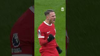 An UNBELIEVABLE goal from Alexis Mac Allister  Liverpool 43 Fulham [upl. by Nolham914]