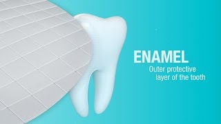 How Does Pronamel® Toothpaste Help Strengthen Enamel  Pronamel® [upl. by Yann]