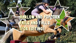 Harlow and popcorn edit harlowlunawhite panda harlowandpanda shorts harlow pony horseriding [upl. by Aramoiz]