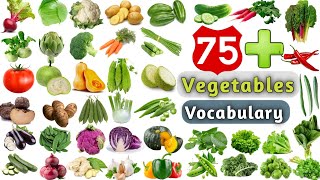 List of Vegetables  Name of Vegetables  Learn Easy English Words  Useful English Words [upl. by Nellac]