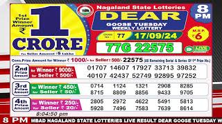 Dear Goose Tuesday Weekly Lottery 8pm Date Of Draw 17092024 [upl. by Lerraf994]