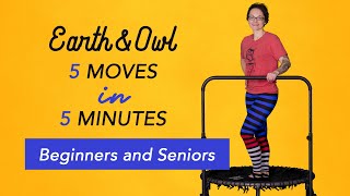 Beginners and Seniors 5 Minute Trampoline Rebounding Workout [upl. by Nyladnarb]