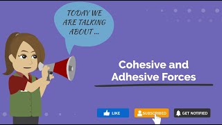 Cohesive and Adhesive Forces  PCB Dictionary  Physics Definitions [upl. by Austine69]