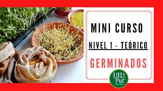 🌾CÓMO HACER GERMINADOS en casa 👉 Curso básico TEÓRICO [upl. by Ardnwahs]