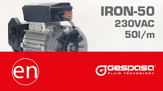 GESPASA  Diesel transfer pump  IRON50 230 V or 110 V [upl. by Treb]