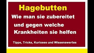 Hagebutten zubereiten gegen Arterienverkalkung trocknen Stärkung Immunsystem Bildung Immunzellen [upl. by Annaeirb646]