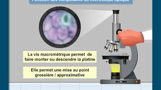 Le microscope optique [upl. by Adamek]