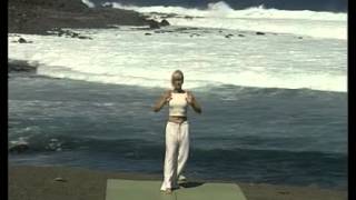 Tai Chi Chi Kung Spanish [upl. by Nnylodnewg]