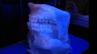 Robs Skull  Full Size 3D Print [upl. by Papst316]