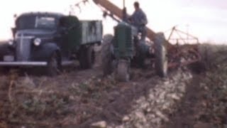 Sugar beet farming excerpt c1940 [upl. by Yriek167]