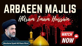 Arbaeen Majlis Haram Imam HussainBy Maulana Syed Ali Raza Rizvitrend majlis karbala india [upl. by Amerigo799]