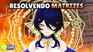 VTUBER BR Resolvendo umas questões de MATEMÁTICA 😭 [upl. by Siri]