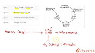 Nitrosomonas and Nitrobacter convert [upl. by Eirolav202]