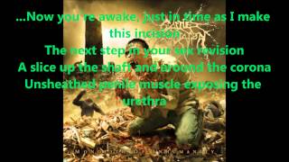 Cattle Decapitation  Forced Gender Reassignment Lyric Video [upl. by Anaimad330]