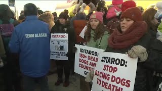 PETA urges Iditarod leaders to end race and ask sponsors to pull funding [upl. by Stricklan]