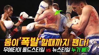 몸이 폭발할때까지 패는 전적 500전 낙무아이와 영국 낙무아이 대결 [upl. by Serica]