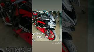 ZX25R WITH SPION WINGLET CARBON KEVLAR H2R STYLEBY STMS PROJECT [upl. by Areema593]