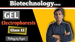 Gel Electrophoresis Biotechnology Class 12 NEET [upl. by Naimad]