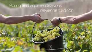 Vins de Bourgogne  Eloge du temps et de ceux qui le respectent [upl. by Fitzpatrick]