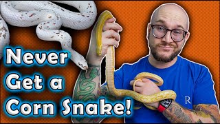 I REFUSE To Get A Corn Snake and YOU Shouldnt Either Heres Why [upl. by Emeline]