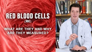 RED BLOOD CELLS RBC  what are they and why are they measured [upl. by Ennyroc]