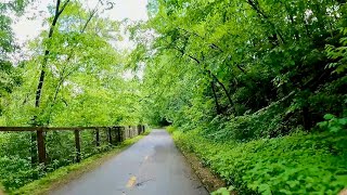 Biking from St Paul to Stillwater [upl. by Atenek365]