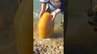 Este chico encontró una piedra increíble en el mar 👏 [upl. by Googins]