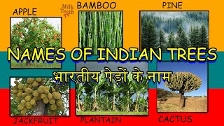 Names of Indian Trees in english and hindi with pictures  30 trees names  भारतीय पेड़ों के नाम [upl. by Goulet371]