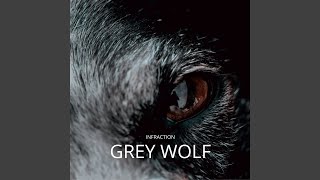 Grey Wolf [upl. by Datha349]