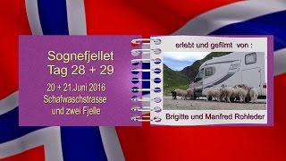 Mit dem Wohnmobil nach Norwegen 2016  Tag 28  29 [upl. by Yhtimit]