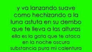 salvaje don omar  letra [upl. by Acinod]