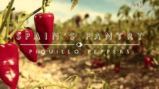 Spain’s Pantry Piquillo Peppers [upl. by Nwotna]