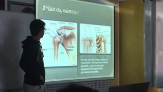 Cours anatomie physiologie des CQP ALS AGEE à Pau [upl. by Keeryt529]