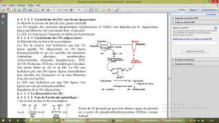 Métabolisme des lipides part 5 [upl. by Serafina716]