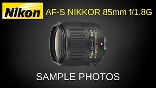 Nikon 85mm 18G Lens Sample Photos 2018 [upl. by Douglas399]