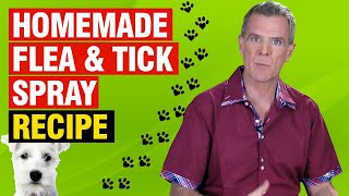 How to Make Your Own Dog Insect Repellent Natural Safe Effective [upl. by Odrareg]