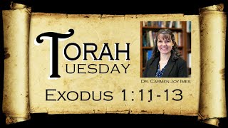 Torah Tuesday  Exodus 11113 [upl. by Anitsirc]