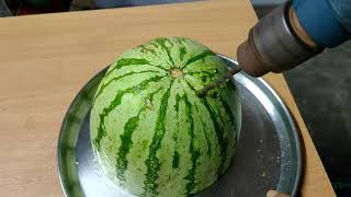 EXPERIMENT TRYPOPHOBIA IN WATERMELON [upl. by Seth]