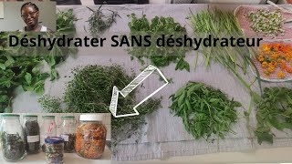 Comment déshydrater le THYM ROMARIN CALENDULA CAMOMILLE BASILIC VERVEINE etc sans DESHYDRATEUR [upl. by Myriam81]