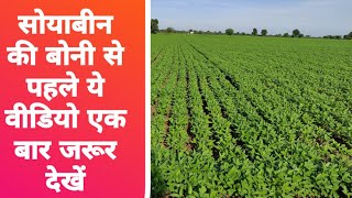 सोयाबीन की खेती से पहले ये वीडियो जरूर देखे  soybean ki kheti se pahle ye jarur dekhe [upl. by Bedelia891]