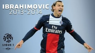 Zlatan Ibrahimovic  All Goals in 20132014 1st half  PSG [upl. by Erreipnaej771]