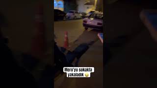 Bizim mero 😂 shortvideo mero olabilir bedel funny [upl. by Eilesor59]